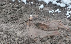 Archeologische schatten in Woltersum